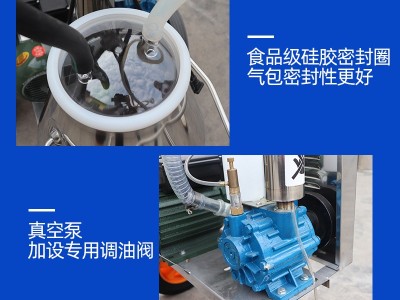 牛羊骆驼专用挤奶机 真空泵挤奶机 不锈钢单双桶电动脉动挤奶设备图2