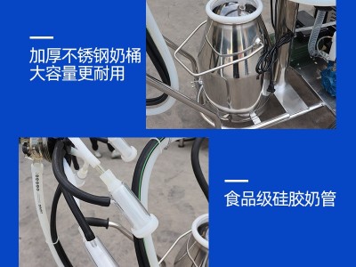 牛羊骆驼专用挤奶机 真空泵挤奶机 不锈钢单双桶电动脉动挤奶设备图4