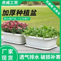 阳台种菜盆塑料花盆家用长方形大号特惠托盘花卉蔬菜专用种菜盆
