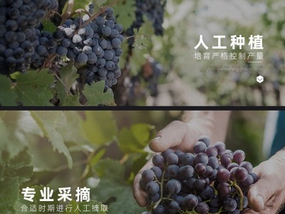 圣斯兰厂家批发代发14度帕里森堡干红葡萄酒法国智利原酒进口红酒图3