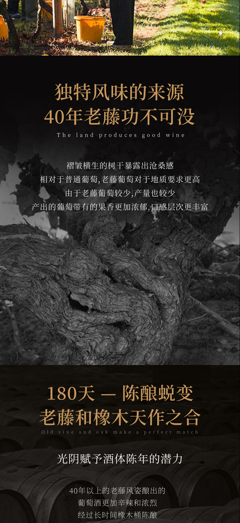 详情03.jpg