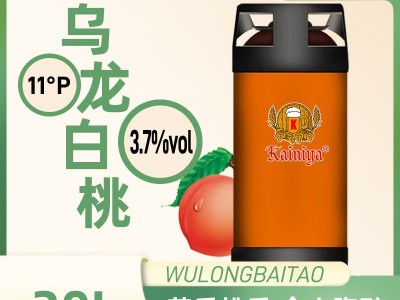 苦荞小麦精酿啤酒 20L30L桶装鲜啤扎啤 小酒馆厂家供应批发采购图5