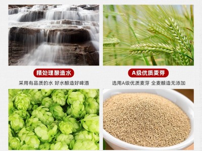 青岛特产500ml拉格原浆黄啤酒12瓶装箱装线下商超餐饮KTV批发拿货图3