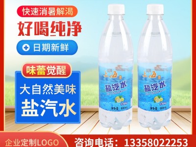 上海味盐汽水600ml*24瓶 柠檬味图1