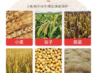 多功能小麦脱粒机水稻大豆黄豆油菜籽高梁谷子脱壳机脱籽机打麦机图3