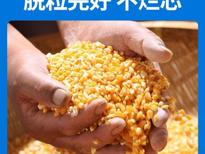 电动玉米脱粒机新款全自动家用小型220V加厚剥粒苞谷分 离收获机械图2