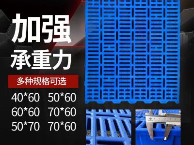猪圈漏粪板母猪产床漏粪板塑料接粪猪场养殖设备羊圈漏粪板加厚图2
