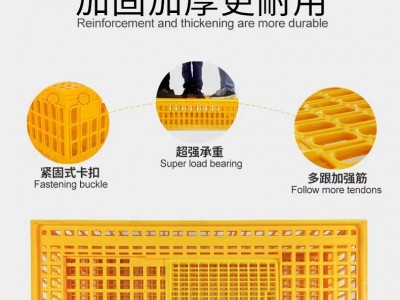 鸡筐加厚原料出口款 塑料鸡鸭鹅运输笼 养殖鸡用周转箱 运输鸡鹅图4