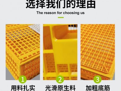 鸡筐加厚原料出口款 塑料鸡鸭鹅运输笼 养殖鸡用周转箱 运输鸡鹅图2