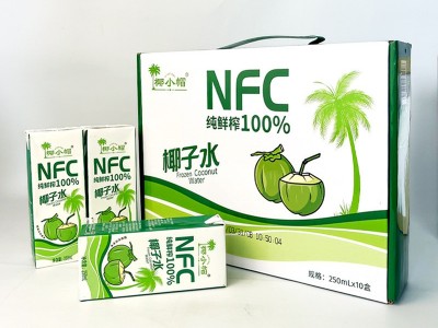 椰小帽椰子水nfc鲜榨纯椰子250ml*10瓶一箱100%果汁椰汁饮料零添图3