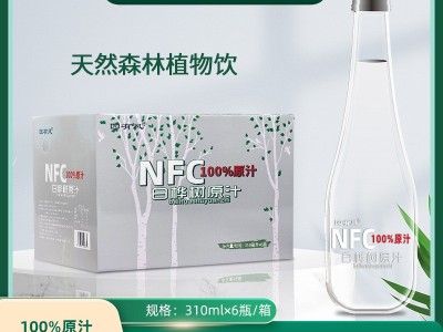 白桦树汁原汁无糖天然原液310ML*6瓶整箱纯木本植物饮桦树水图2