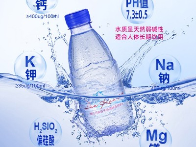 现货358ml瓶装矿泉水企业广告定制logo办公会议饮用纯净水批发图3