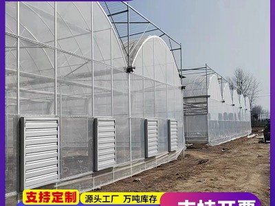 连栋薄膜温室蔬菜大棚养殖花卉大棚连栋薄膜温室保温骨架大棚厂家图3