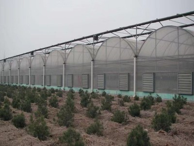 春秋冷棚单体薄膜大棚插地棚农业家用种植棚骨架厂家设计加工全套图4