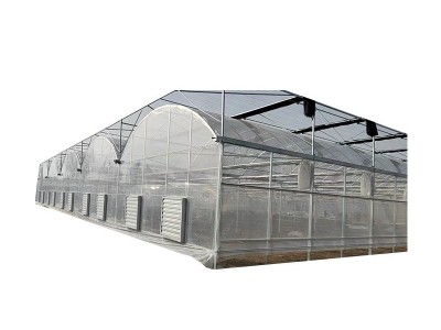 春秋冷棚单体薄膜大棚插地棚农业家用种植棚骨架厂家设计加工全套图5