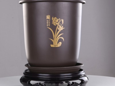 现货批发花盆特大口径兰花盆专用塑料多肉君子兰盆栽盆景盆带底座图3