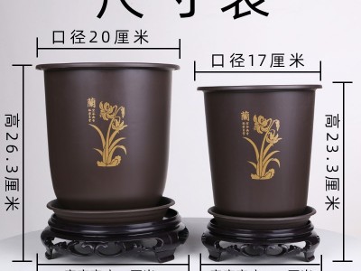 现货批发花盆特大口径兰花盆专用塑料多肉君子兰盆栽盆景盆带底座图2