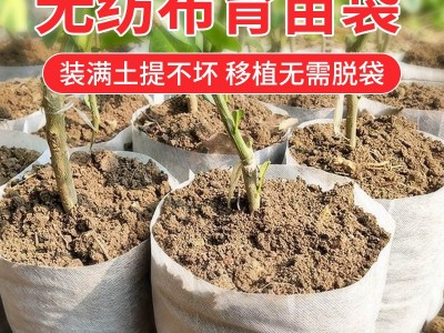 植物栽培无纺布种植袋免脱可降解育苗容器袋营养袋工厂现货批发图5