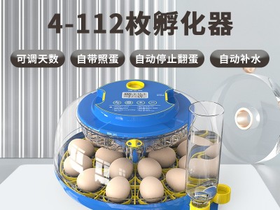 工厂直供12枚科学教研孵蛋器家禽鸡蛋孵化器小鸡养殖孵化设备机器图2