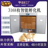源头厂家跨境全自动智能大型孵化机incubator家用型鸡 蛋孵化器