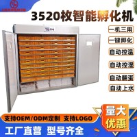 跨境大型鸡蛋孵化机家用全自动孵蛋器工厂直发小型智能小鸡孵化器