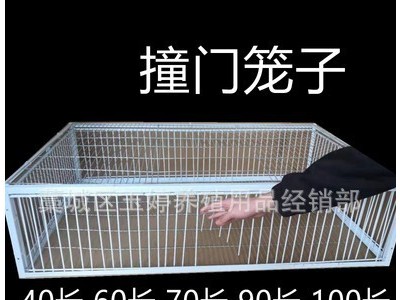 天落笼加密只进不出鸽子笼自动捕鸡网雀鸟笼活络撞门笼收鸽器图4