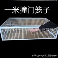 天落笼加密只进不出鸽子笼自动捕鸡网雀鸟笼活络撞门笼收鸽器