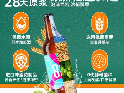 泰山原浆啤酒9度28天瓶装整箱啤酒450mL*12瓶泰山啤酒图2