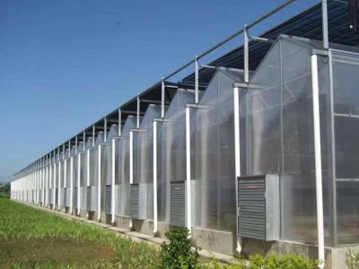 农业pc阳光板温室 蔬菜花卉种植玻璃温室 生态阳光育苗温室大棚图3