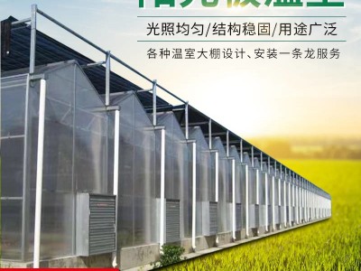农业pc阳光板温室 蔬菜花卉种植玻璃温室 生态阳光育苗温室大棚图2