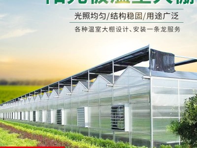 农业pc阳光板温室 蔬菜花卉种植玻璃温室 生态阳光育苗温室大棚图4