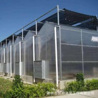 农业pc阳光板温室 蔬菜花卉种植玻璃温室 生态阳光育苗温室大棚