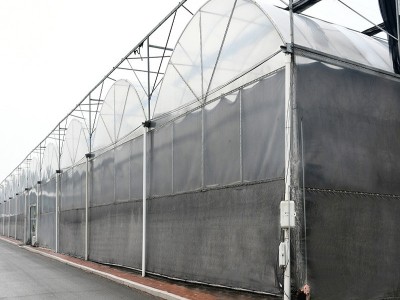 连栋温室大棚蔬菜水果花卉暖棚养植栽培钢架农业暖棚遮 阳遮阴大棚图2