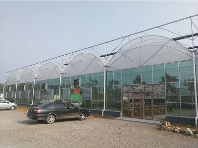 连栋温室大棚蔬菜水果花卉暖棚养植栽培钢架农业暖棚遮 阳遮阴大棚图5