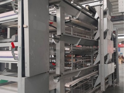 肉蛋鸡笼生产厂家 养鸡设备阶梯式蛋鸡笼 鸡笼家用全自动养鸡设备图2