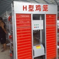 肉蛋鸡笼生产厂家 养鸡设备阶梯式蛋鸡笼 鸡笼家用全自动养鸡设备