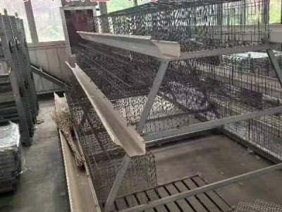 肉蛋鸡笼生产厂家 养鸡设备阶梯式蛋鸡笼 鸡笼家用全自动养鸡设备图4