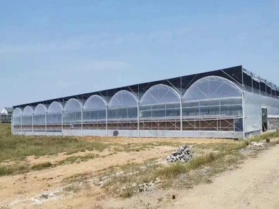 厂家连栋大棚塑料薄膜连栋温室大棚安装瓜果蔬菜连体温室大棚安装图2