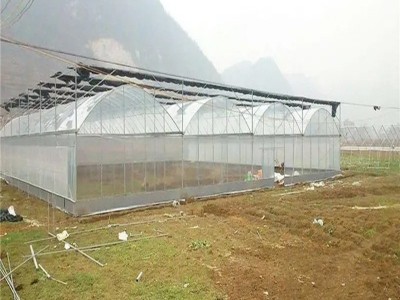 厂家连栋大棚塑料薄膜连栋温室大棚安装瓜果蔬菜连体温室大棚安装图5