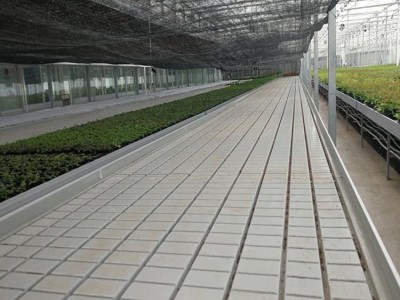 ABS面板潮汐苗床热镀锌温室育苗床花卉苗床农业温室栽培 床设施图3
