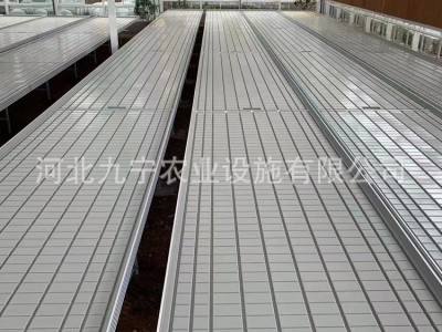 温室大棚潮汐苗床 大棚灌溉育苗ABS苗床盘面板 铝合金 框架育苗床图3