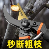 园艺剪刀批发果树修枝剪园林粗枝剪树枝用的剪刀花艺修枝剪摘果剪