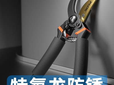 园艺剪刀批发果树修枝剪园林粗枝剪树枝用的剪刀花艺修枝剪摘果剪图2